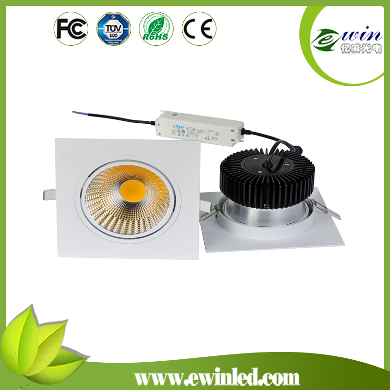 30W Dimmable LED Down Light for High Class Stores