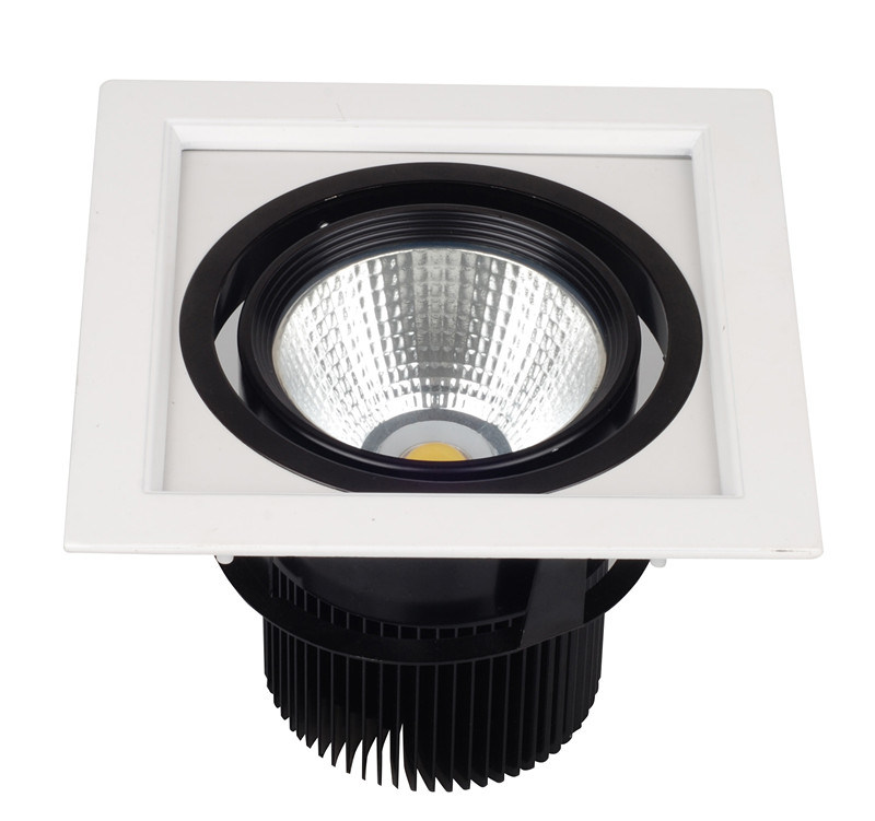 LED Downlight LED Light LED Ceiling Light (12W)