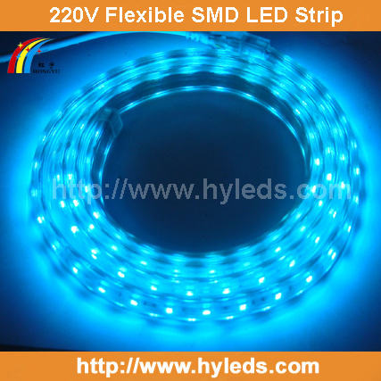 Flexible SMD LED Strip Light (HY-HV5050-48-B)