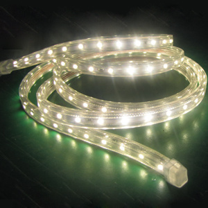 LED Strip (3528/60-220/110V) , LED Strip Light, SMD Strip
