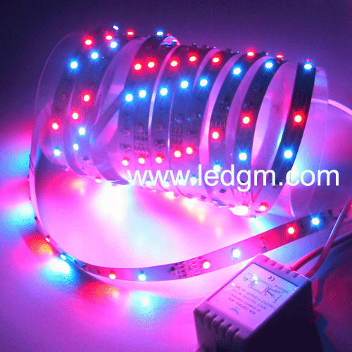 LED SMD 3528 RGB Strip Light