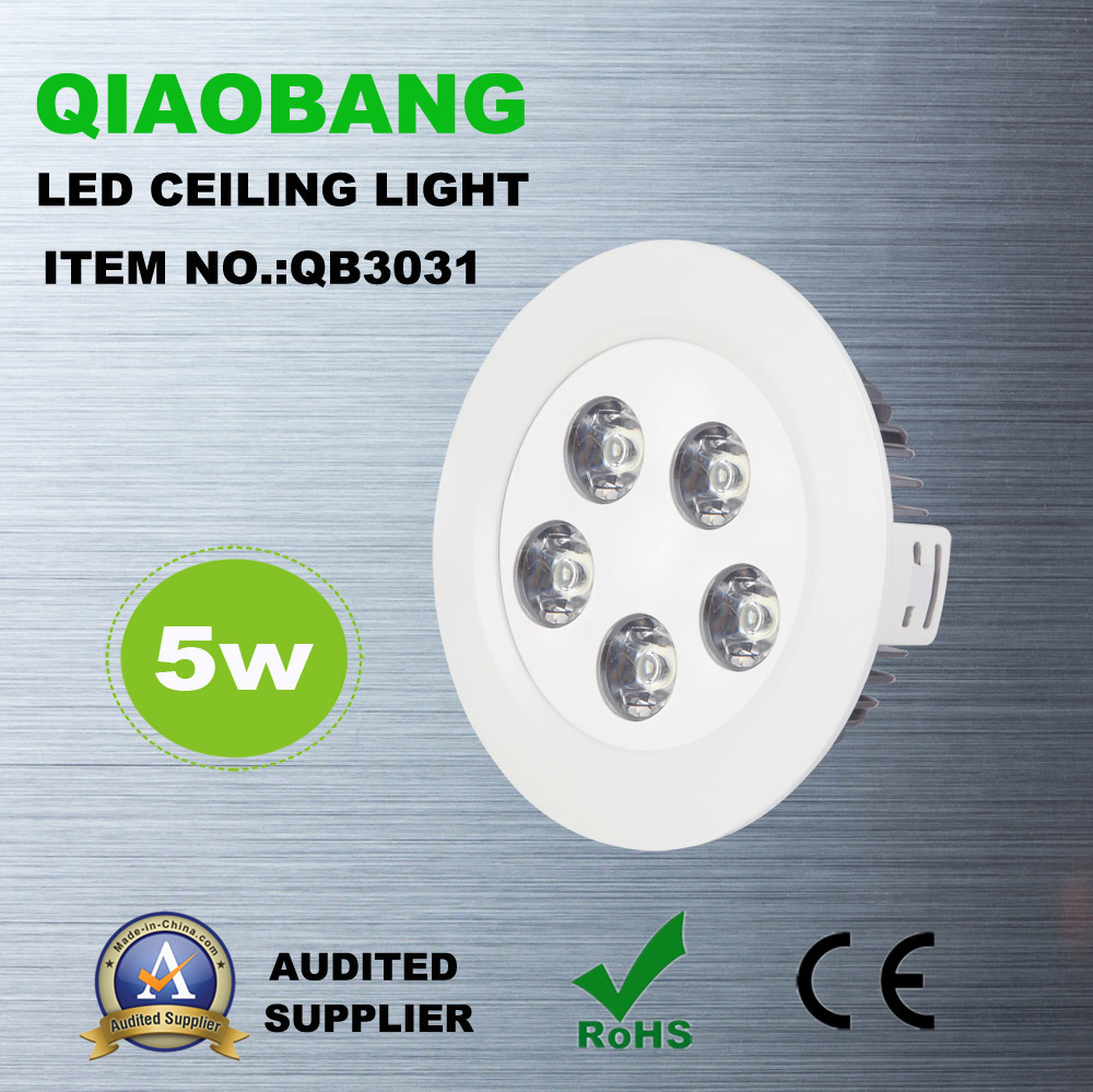 5W High Power LED Ceiling Light (QB3031)