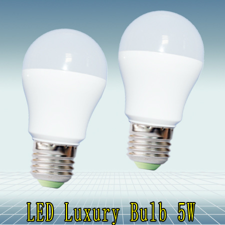5W LED Bulb Light with IC Driver