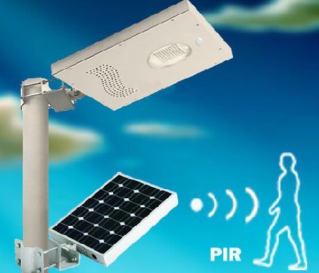 Intergrated Motion Sensor Rechargeable LED Solar Garden Light