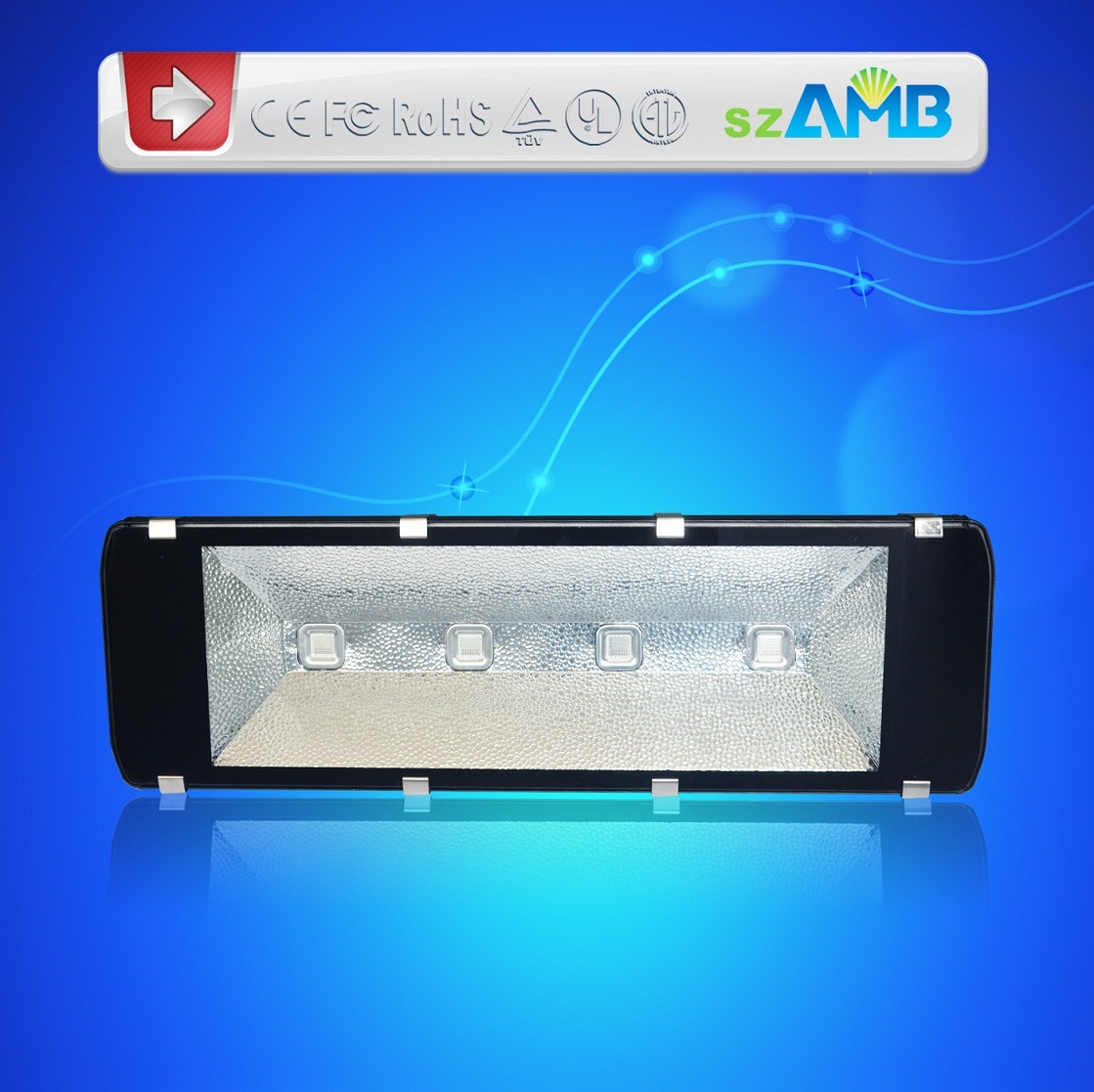 Outdoor 200W LED Tunnel Light with Meanwell Driver