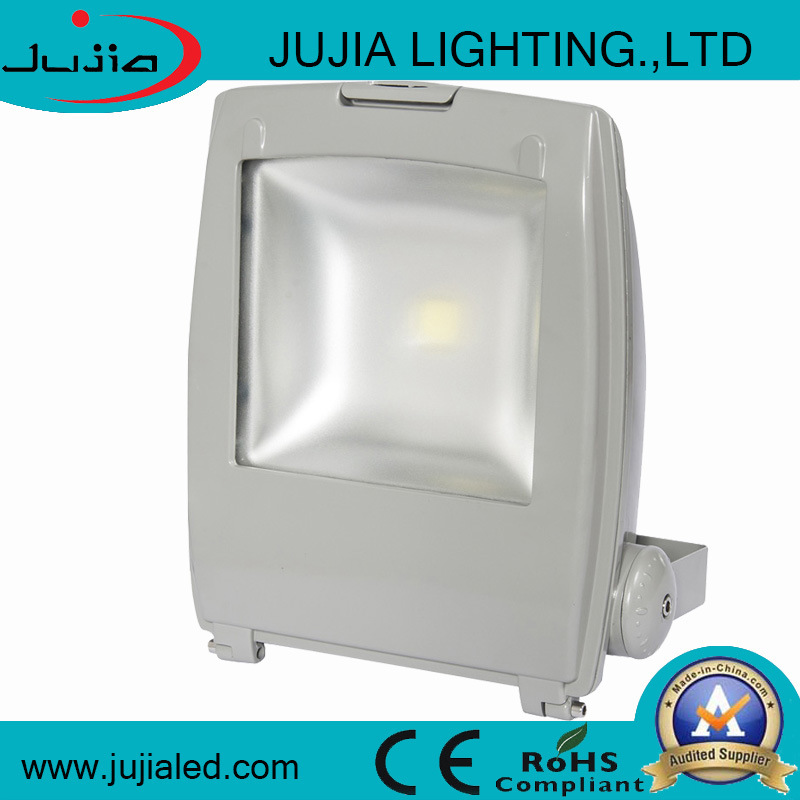 High Quality 110V 50W LED Flood Light Outdoor Use