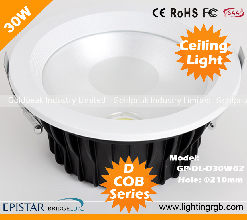 COB 30W LED Ceiling Light/ LED Ceiling Lamp/ LED Downlight/LED Cabinet Light