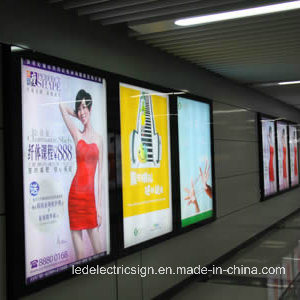 Subway Station LED Advertising Light Boxes