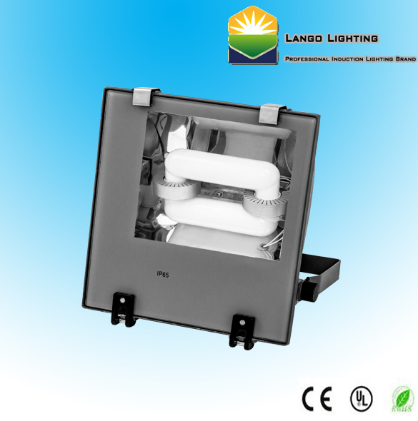 Induction Flood Light with 5 Years Warranty (LG0553-1A)
