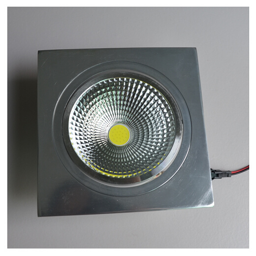 10W CE Specular Silver Warm White COB LED Ceiling Light