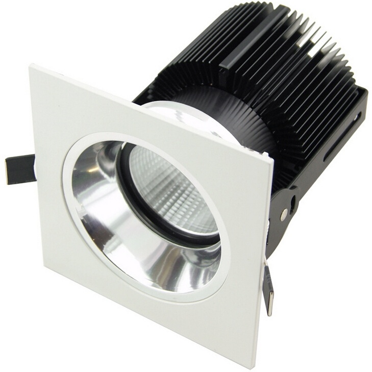 Spray White+ Specular Silver Inner Ring 25W COB LED Wall Washer