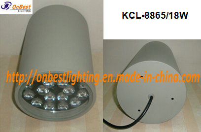 Waterproof IP55 18W LED Outdoor Ceiling Light