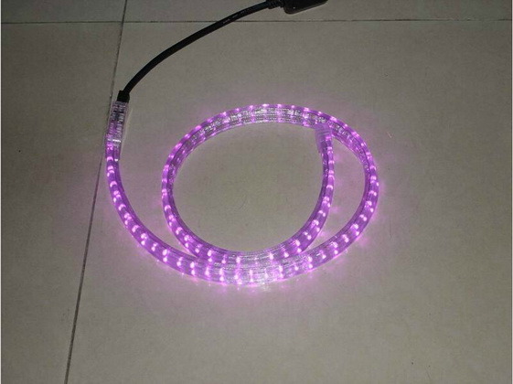 LED Round Rope Light, Strip Light