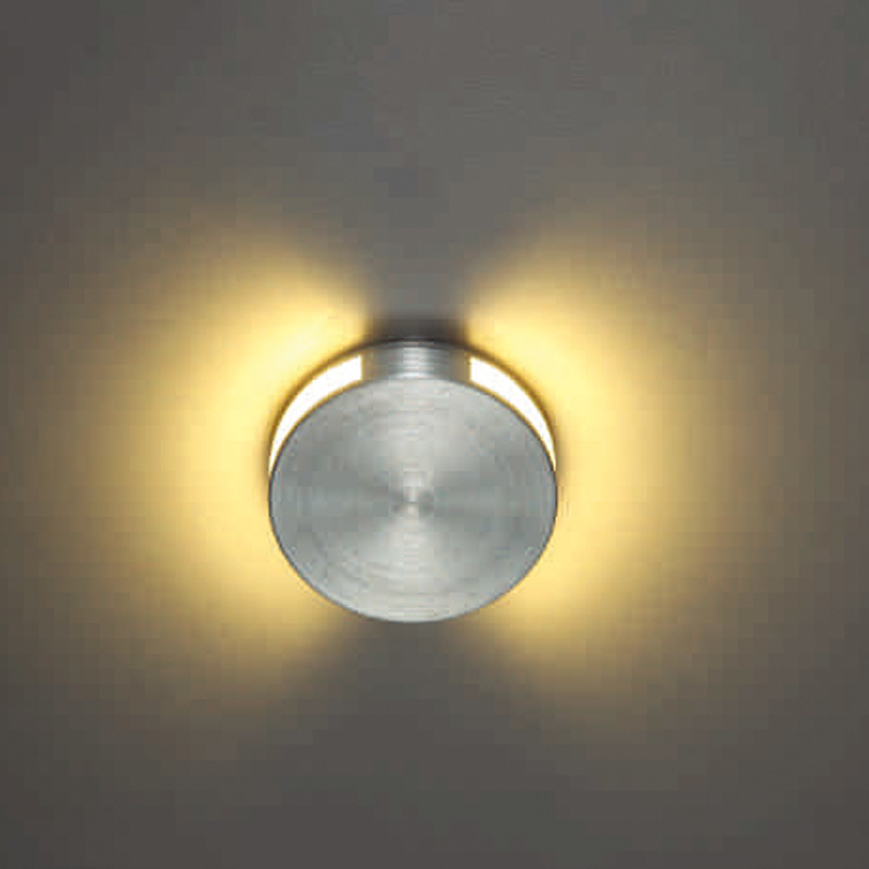 Wall Washer LED Light (LSL004)