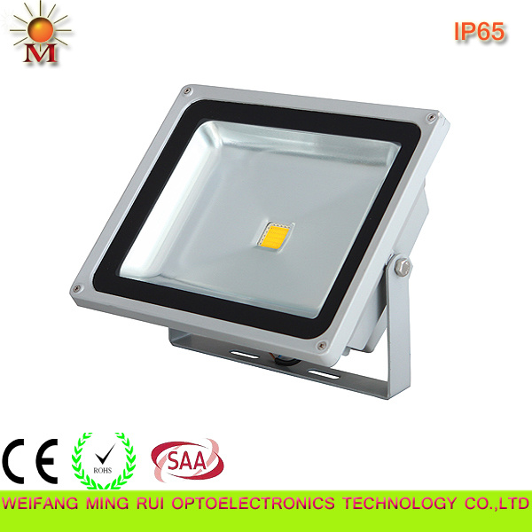 20W New Style Hot Sale LED Outdoor Light (IP65)