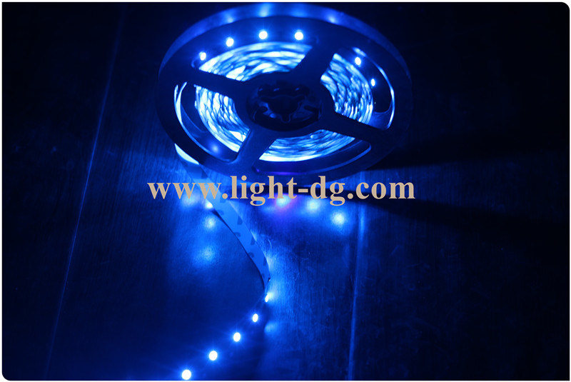 Indoor Use Back Light LED Strip 5050