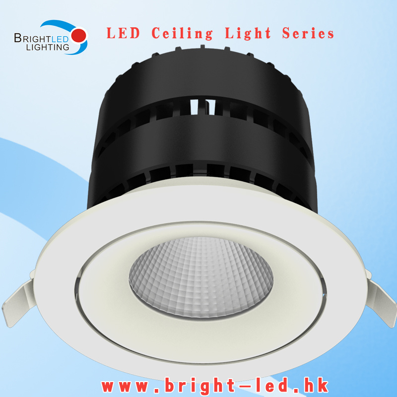 CE&RoHS Best Price LED Ceiling Light