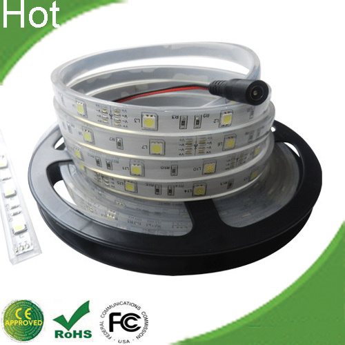 LED Flexible Strip Light/SMD5050 LED Strip Light/Flexible LED Strip Light