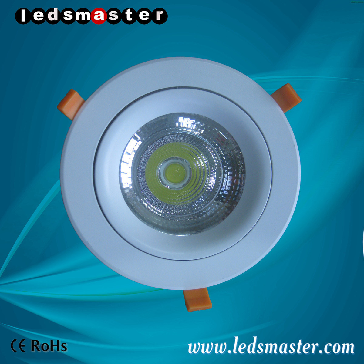 Warm Cool Pure White LED Down Light