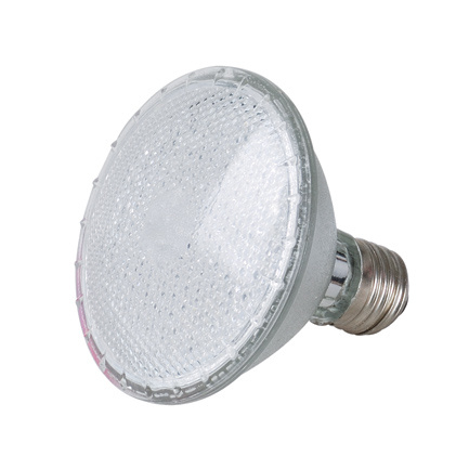 LED Spotlight (SD-120)