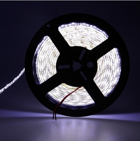 High Quality 5050 Warm White 30LEDs/M 36W LED Strip Cheap Price DV12V Wateproof Strip Light for Clothes