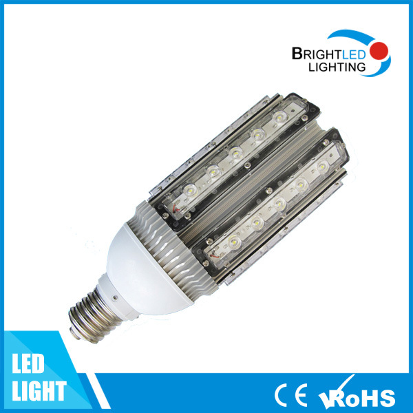 24W/28W/30W/36W E40 E27 LED Corn Bulbs LED Garden Light