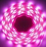 LED Strip Light (3528 Purple)