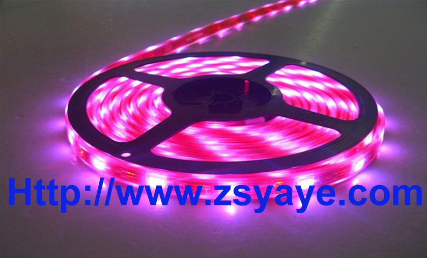 SMD 5050 LED Flexible Strip Light (YAYE-R5050FS30-12V)