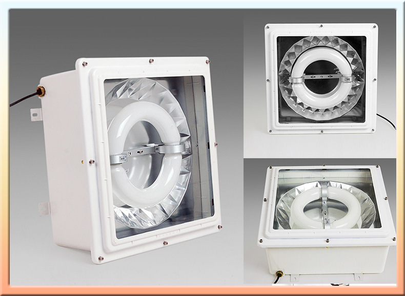 Low Frequency Energy Saving Lighting, LVD Induction Lamp, 40-120W Explosion Proof Light