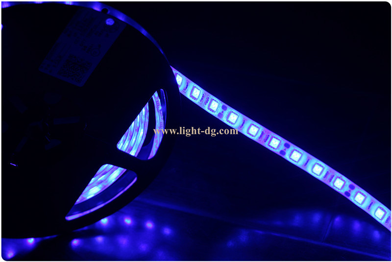 SMD 5050 LED Light Strips