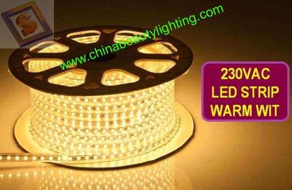 110V 220V 5050SMD LED Strip Light