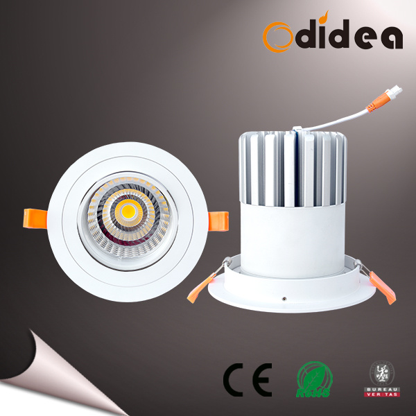 20W 1400 Lumen Adjustable LED Ceiling Light