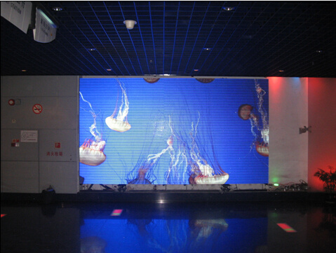P5 Indoor Full Color LED Display /Full Color LED Display