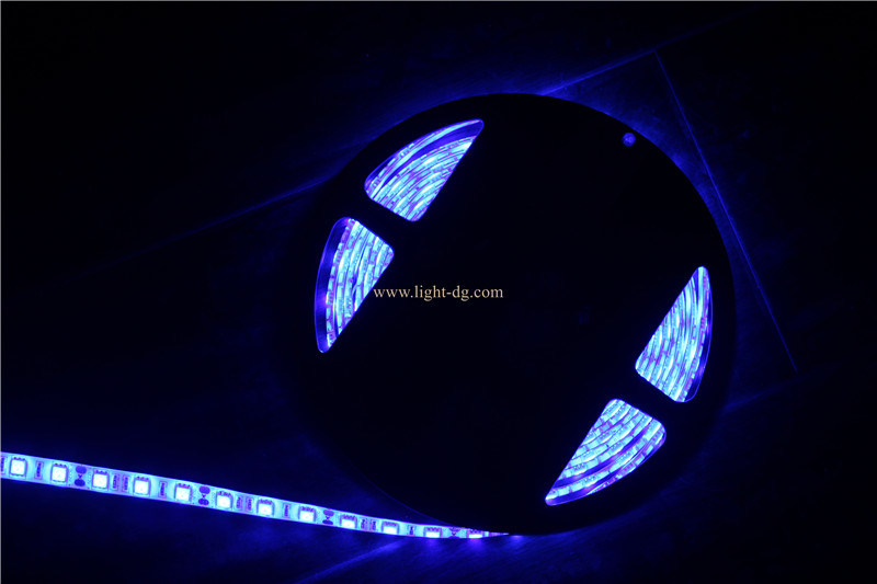12V Waterproof LED Light Strip
