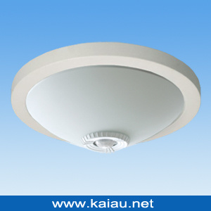 Energy Saving Ceiling Light (KA-C-302F)