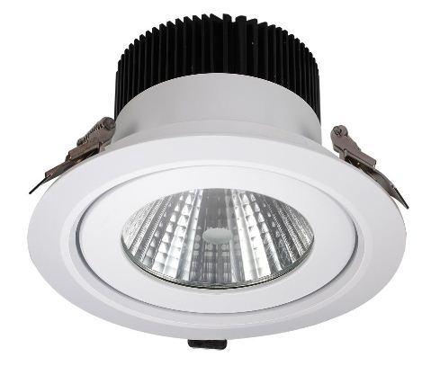 5~60W IP65 CE, RoHS LED Ceiling Light / Down Light
