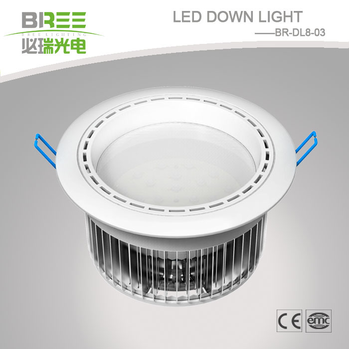 LED High Power Down Light 30W (BR-DL8-03)