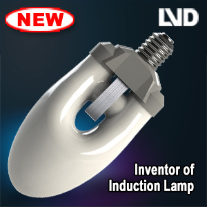 Induction Lamp, Electrodeless, LVD Energy Saving Light (LVD-JX40W)