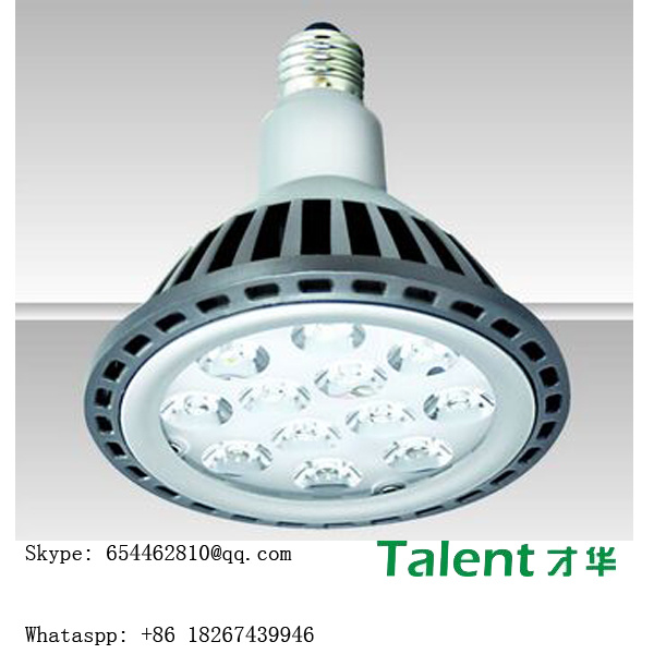 12W PAR38 Recessed Indoor LED Spotlight, Garden LED Light