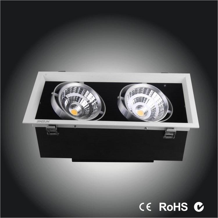 2*10W High Power Epistar COB LED Venture Light, COB LED Ceiling Light, LED Downlight