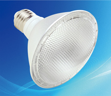 LED Spotlight (PAR30)