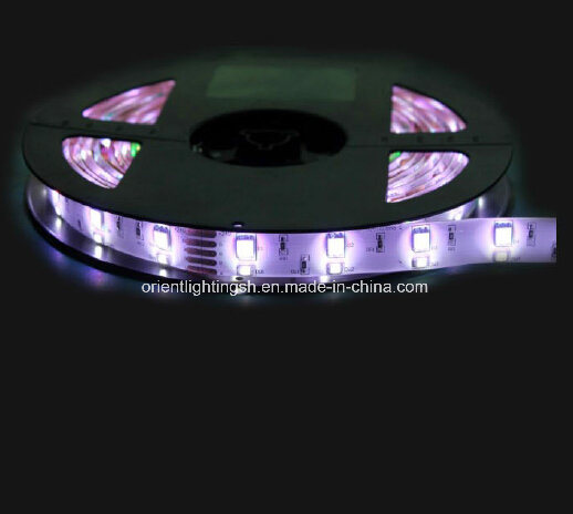 SMD 5060+1210 RGB+W Flexible Strip-120 LEDs/M LED Light