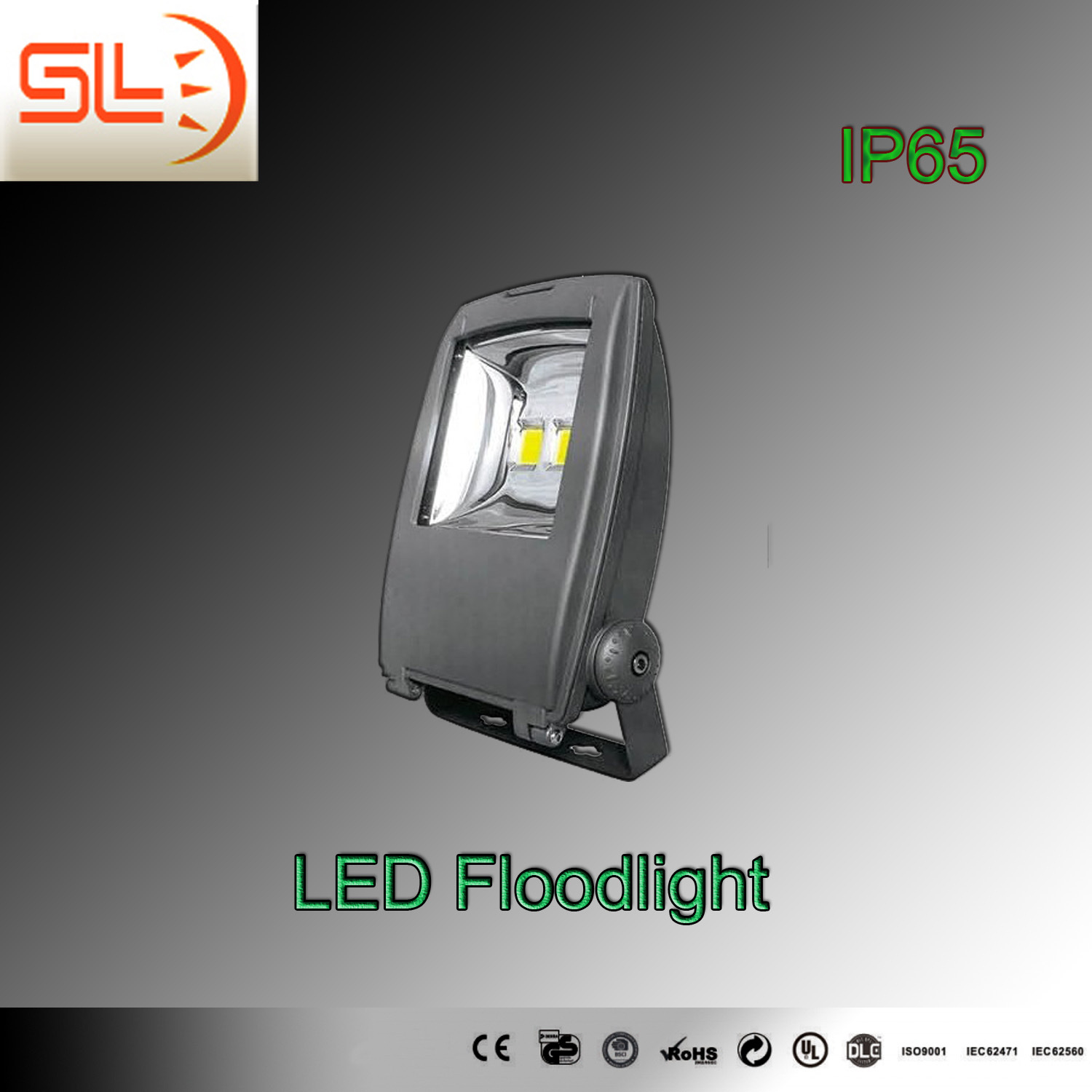 CE SAA TUV Approved Outdoor 50W LED Flood Light