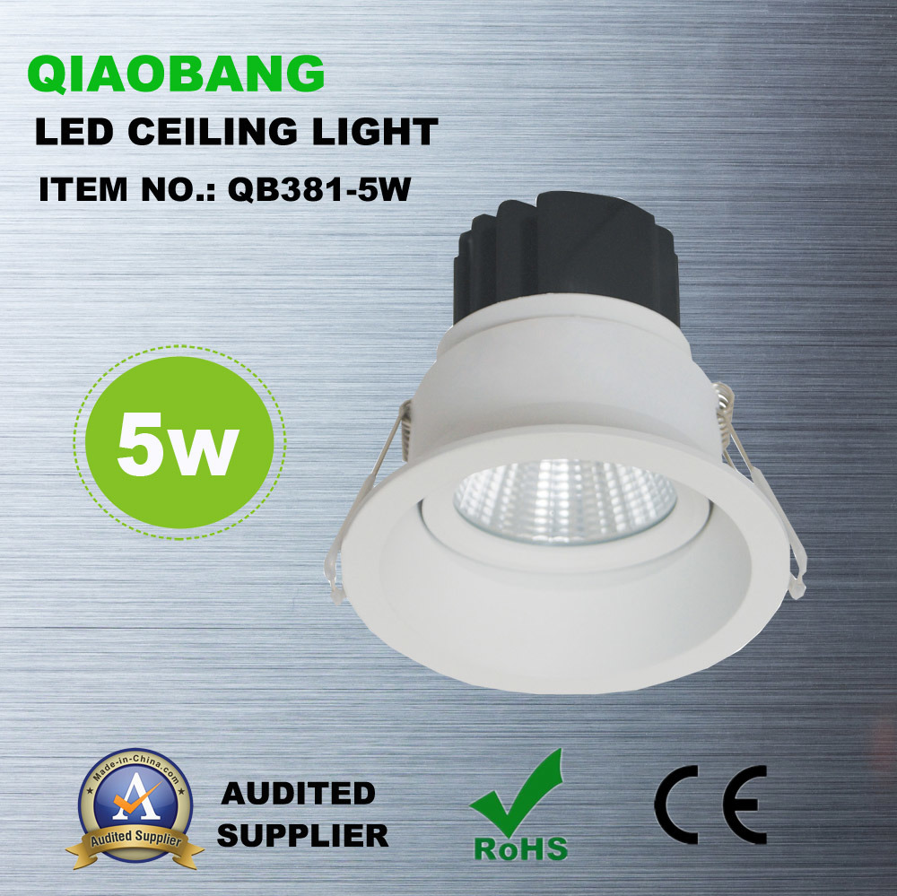 Housing LED Ceiling Light with 5W (QB381-5W)