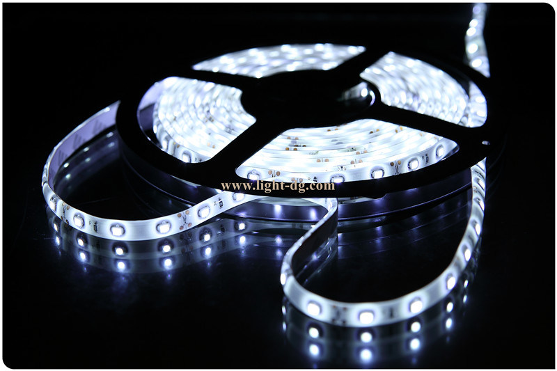 Waterproof LED Flexible Strip Light 5050