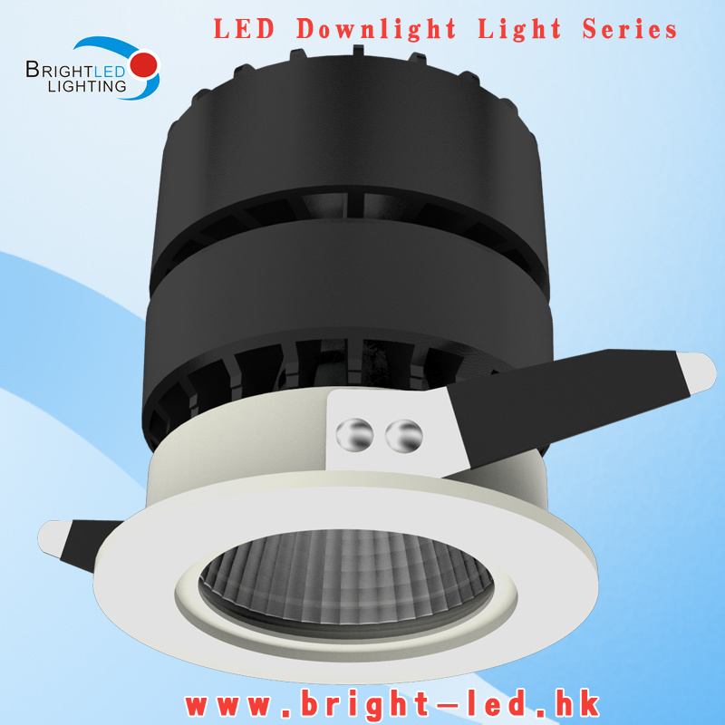 LED Recessed Down Light COB Bridgelux LED Down Light
