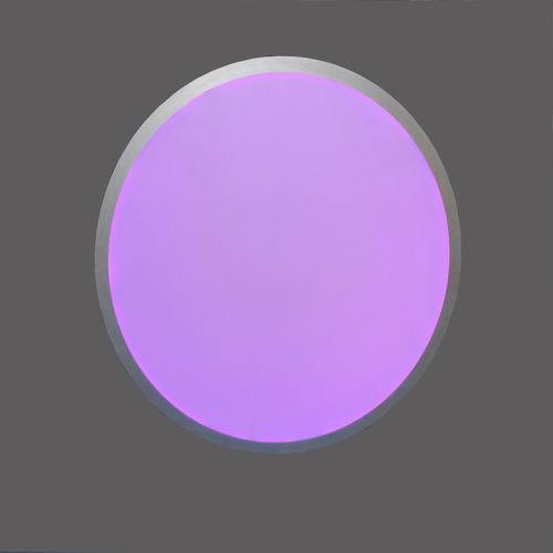 RGB Round LED Panel Light Colorchanging
