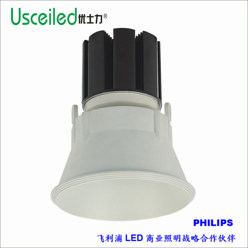 10W COB LED Ceiling Light with CE