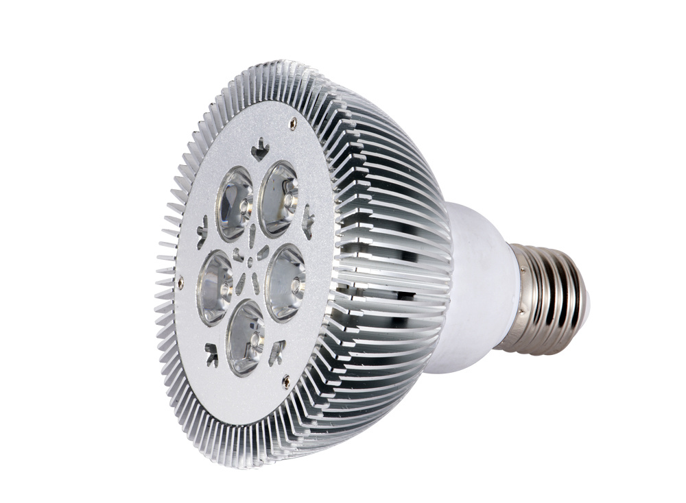 LED Spotlight (PAR30 9W)/LED PAR 30/LED PAR30 Lamp
