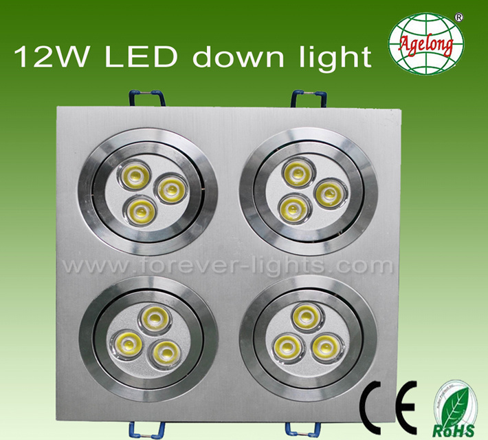 Powerful LED Light Source, High Power LED Down Light (XL-DL012XXADW-ORL) (XL-DL012XXADW-ORL)